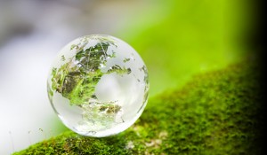 protection-environment